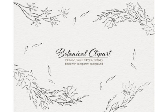 Download Modern Flowers Botanical Hand Drawn - Modern flowers Collection